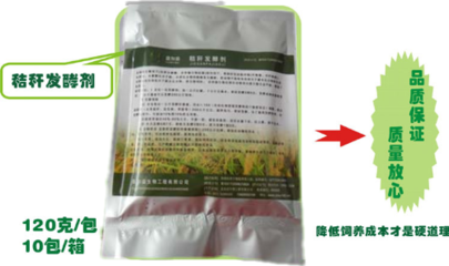 玉米秸稈青貯黃貯做飼料喂豬喂牛羊廠家!玉米秸稈發酵劑廠家批發價格!_農副產品欄目